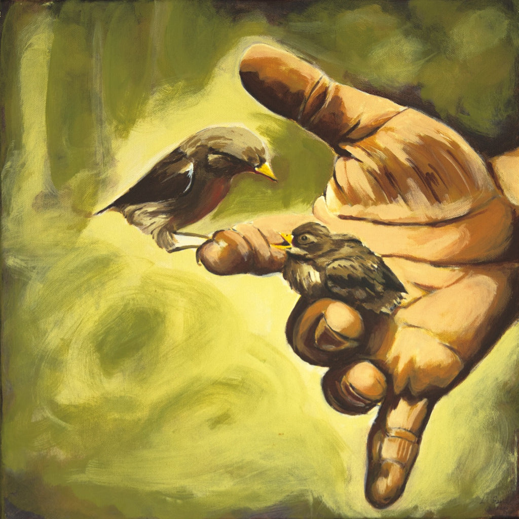 Why are you not flying? (40cm x 40cm)