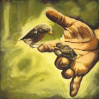 Why are you not flying? (40cm x 40cm)