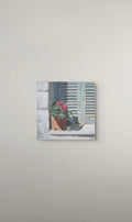 Beauty in a small pot (30cm x 30cm)